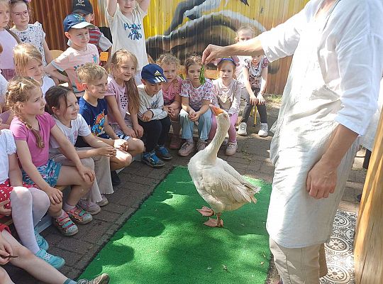 Gr. III I IV  Ptactwo hodowlane w naszym przedszkolu