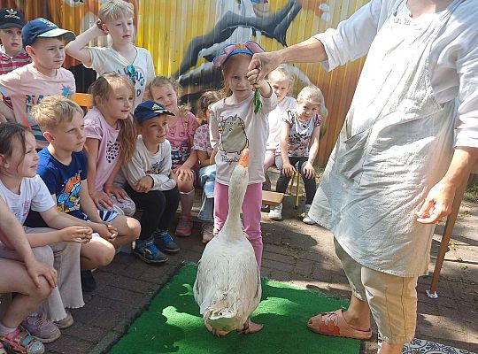 Gr. III I IV  Ptactwo hodowlane w naszym przedszkolu