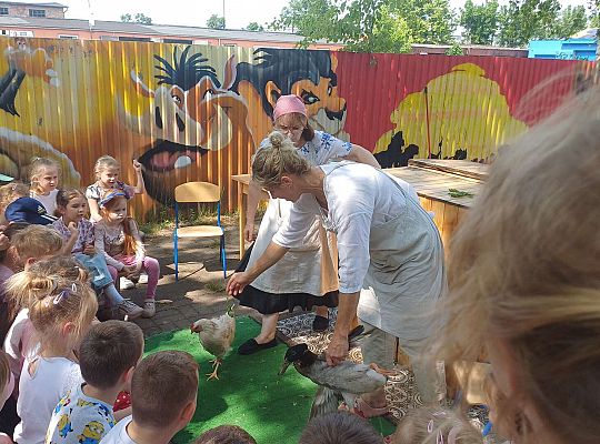 Gr. III I IV  Ptactwo hodowlane w naszym przedszkolu