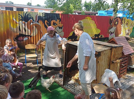 Gr. III I IV  Ptactwo hodowlane w naszym przedszkolu