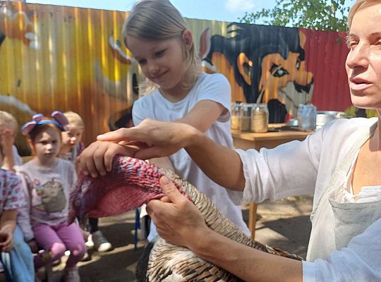 Gr. III I IV  Ptactwo hodowlane w naszym przedszkolu