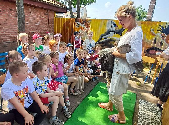 Gr. III I IV  Ptactwo hodowlane w naszym przedszkolu