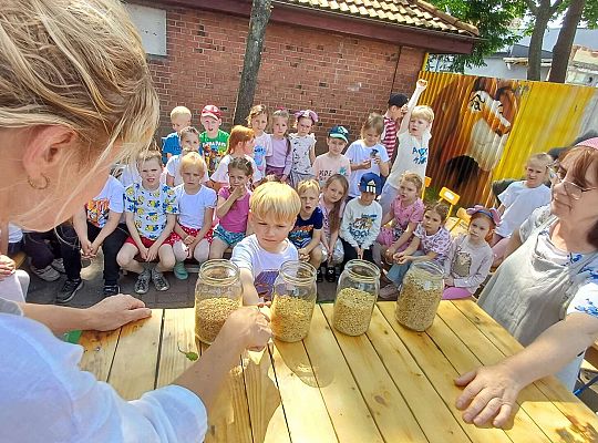 Gr. III I IV  Ptactwo hodowlane w naszym przedszkolu