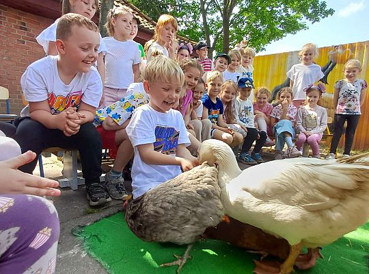 Gr. III I IV  Ptactwo hodowlane w naszym przedszkolu