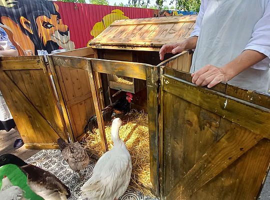 Gr. III I IV  Ptactwo hodowlane w naszym przedszkolu