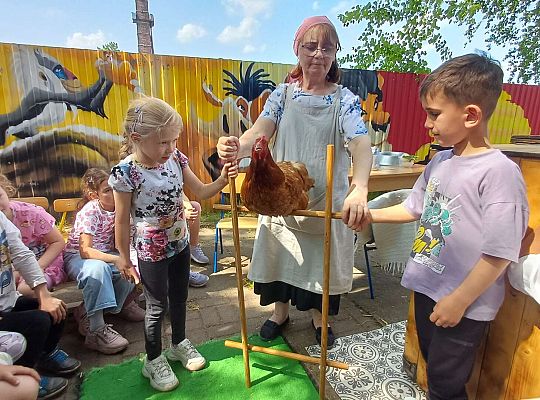 Gr. III I IV  Ptactwo hodowlane w naszym przedszkolu