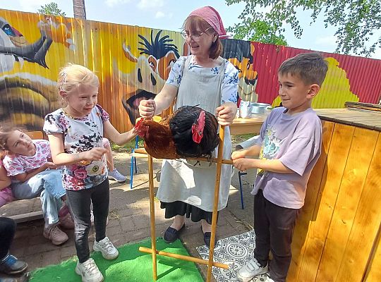 Gr. III I IV  Ptactwo hodowlane w naszym przedszkolu