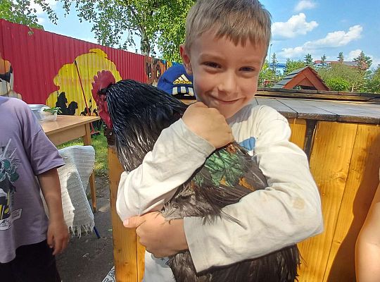 Gr. III I IV  Ptactwo hodowlane w naszym przedszkolu