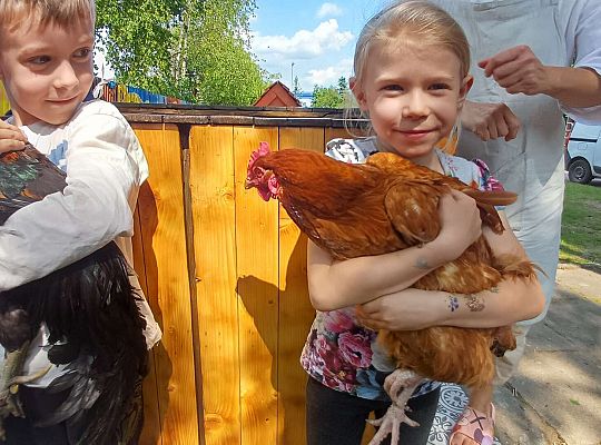 Gr. III I IV  Ptactwo hodowlane w naszym przedszkolu