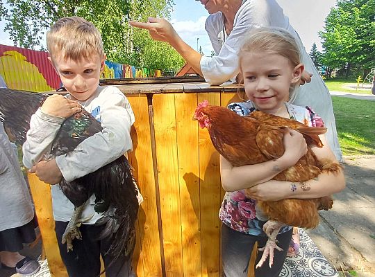 Gr. III I IV  Ptactwo hodowlane w naszym przedszkolu