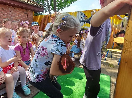 Gr. III I IV  Ptactwo hodowlane w naszym przedszkolu