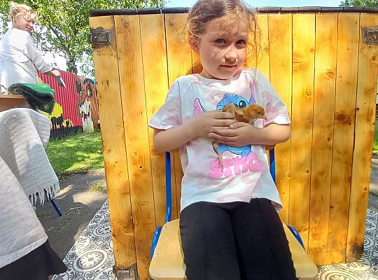 Gr. III I IV  Ptactwo hodowlane w naszym przedszkolu