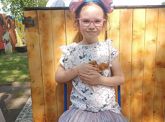 Gr. III I IV  Ptactwo hodowlane w naszym przedszkolu