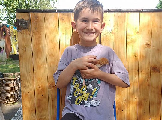 Gr. III I IV  Ptactwo hodowlane w naszym przedszkolu