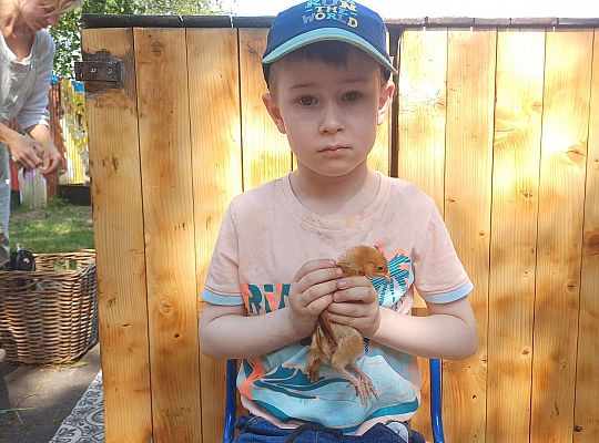 Gr. III I IV  Ptactwo hodowlane w naszym przedszkolu