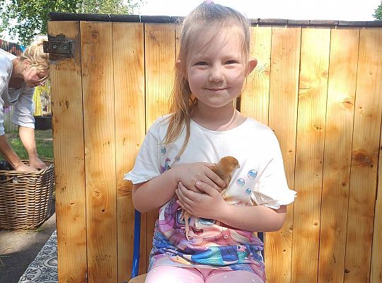 Gr. III I IV  Ptactwo hodowlane w naszym przedszkolu