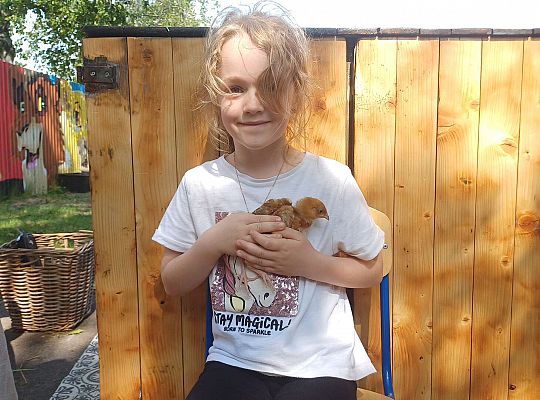 Gr. III I IV  Ptactwo hodowlane w naszym przedszkolu