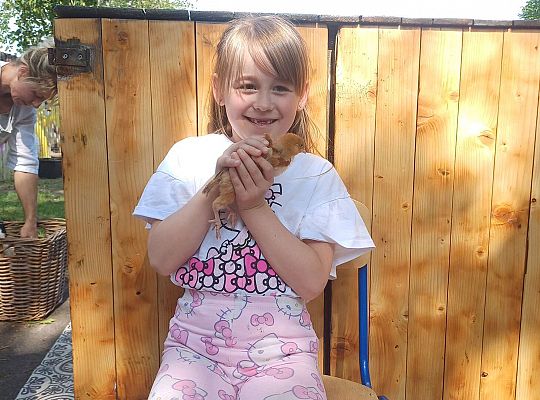 Gr. III I IV  Ptactwo hodowlane w naszym przedszkolu