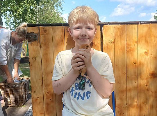 Gr. III I IV  Ptactwo hodowlane w naszym przedszkolu