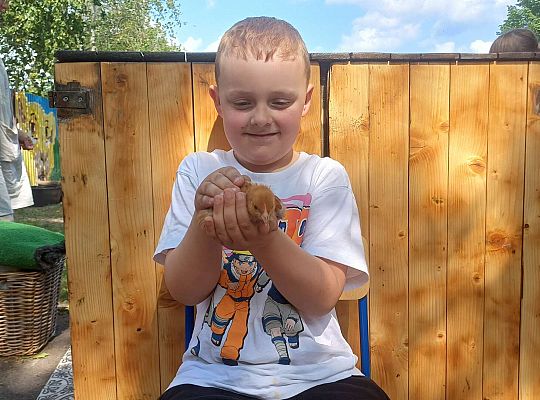 Gr. III I IV  Ptactwo hodowlane w naszym przedszkolu