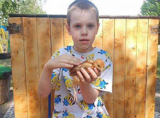 Gr. III I IV  Ptactwo hodowlane w naszym przedszkolu