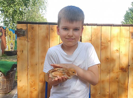 Gr. III I IV  Ptactwo hodowlane w naszym przedszkolu