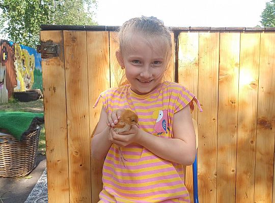 Gr. III I IV  Ptactwo hodowlane w naszym przedszkolu