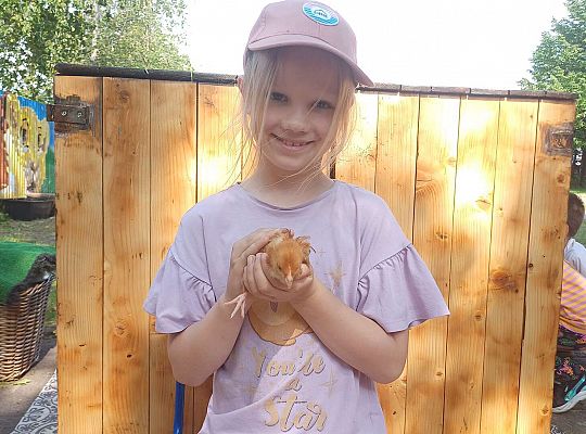 Gr. III I IV  Ptactwo hodowlane w naszym przedszkolu