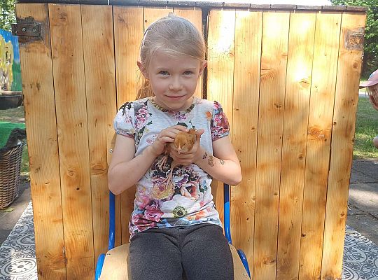 Gr. III I IV  Ptactwo hodowlane w naszym przedszkolu