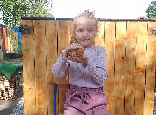 Gr. III I IV  Ptactwo hodowlane w naszym przedszkolu