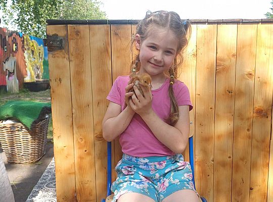 Gr. III I IV  Ptactwo hodowlane w naszym przedszkolu