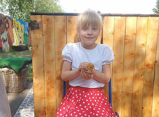 Gr. III I IV  Ptactwo hodowlane w naszym przedszkolu