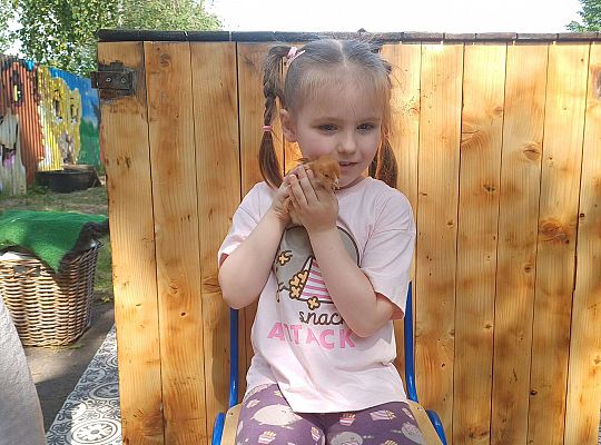 Gr. III I IV  Ptactwo hodowlane w naszym przedszkolu