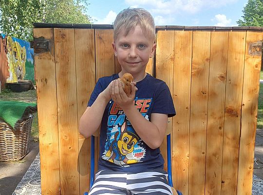 Gr. III I IV  Ptactwo hodowlane w naszym przedszkolu