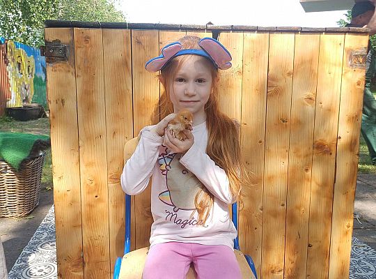 Gr. III I IV  Ptactwo hodowlane w naszym przedszkolu