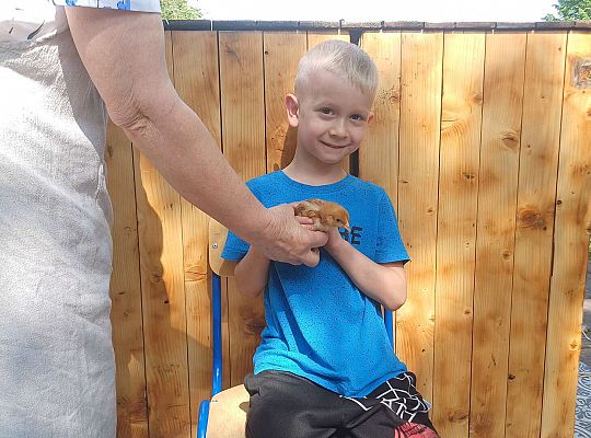 Gr. III I IV  Ptactwo hodowlane w naszym przedszkolu