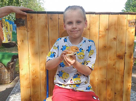 Gr. III I IV  Ptactwo hodowlane w naszym przedszkolu