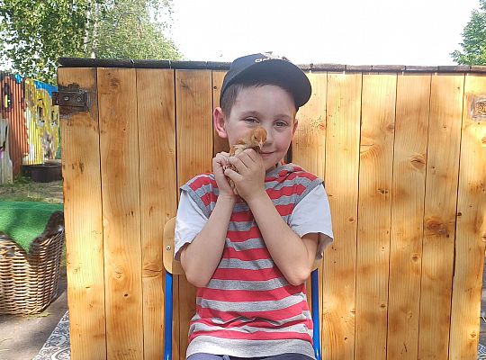 Gr. III I IV  Ptactwo hodowlane w naszym przedszkolu