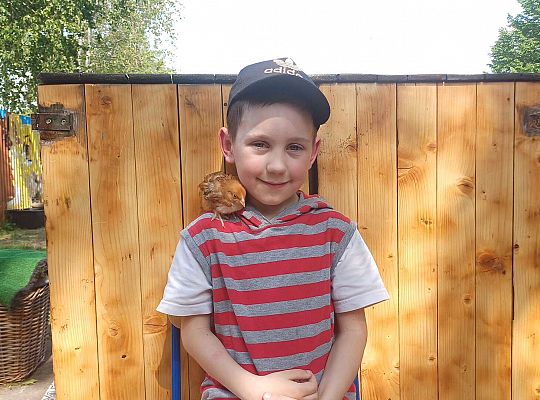 Gr. III I IV  Ptactwo hodowlane w naszym przedszkolu