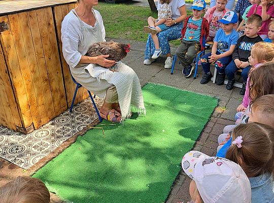 Gr.I I Gr.II Poznajemy ptaki hodowlane