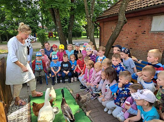 Gr.I I Gr.II Poznajemy ptaki hodowlane