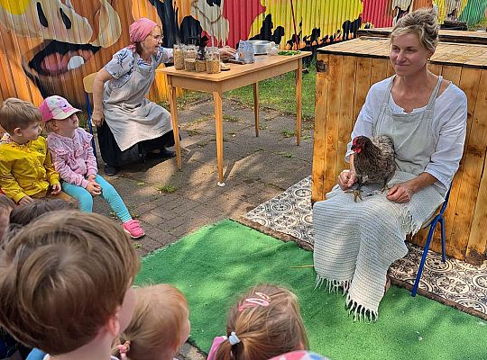 Gr.I I Gr.II Poznajemy ptaki hodowlane