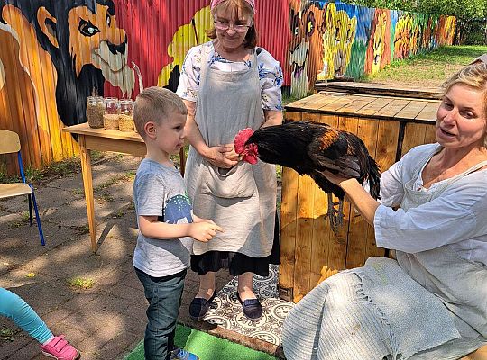 Gr.I I Gr.II Poznajemy ptaki hodowlane