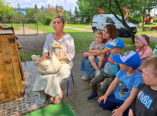 Gr.I I Gr.II Poznajemy ptaki hodowlane