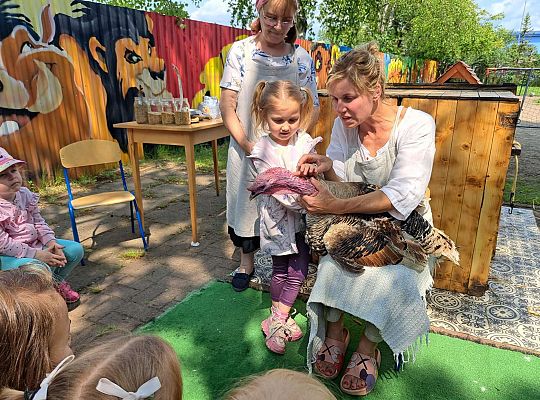 Gr.I I Gr.II Poznajemy ptaki hodowlane