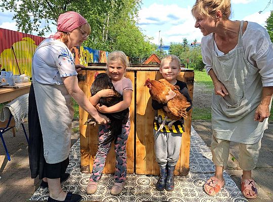 Gr.I I Gr.II Poznajemy ptaki hodowlane