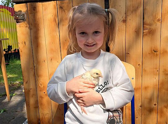 Gr.I I Gr.II Poznajemy ptaki hodowlane