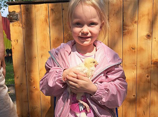 Gr.I I Gr.II Poznajemy ptaki hodowlane