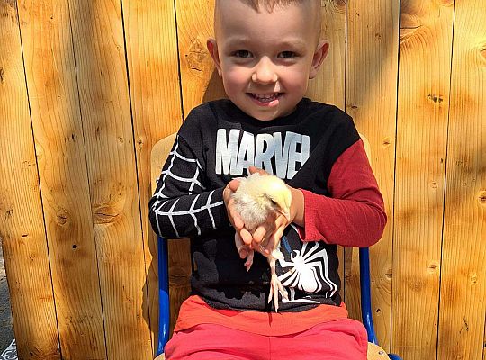 Gr.I I Gr.II Poznajemy ptaki hodowlane