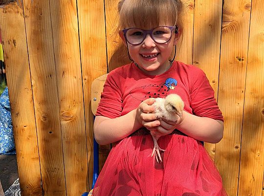 Gr.I I Gr.II Poznajemy ptaki hodowlane